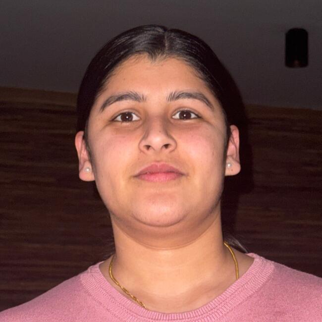 Babysitter Job in Gent: Ganesh