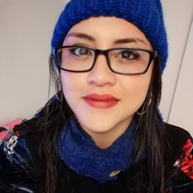 Babysitting job in Calama: Lesly
