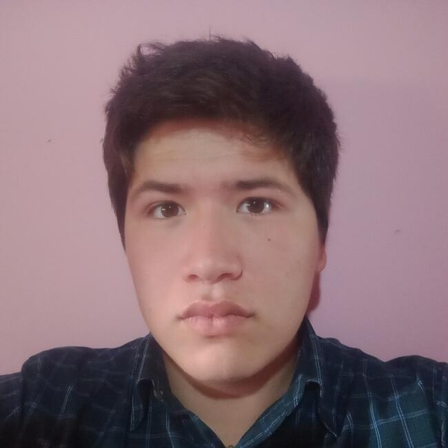 Babysitter in Linares: Bastián castillo