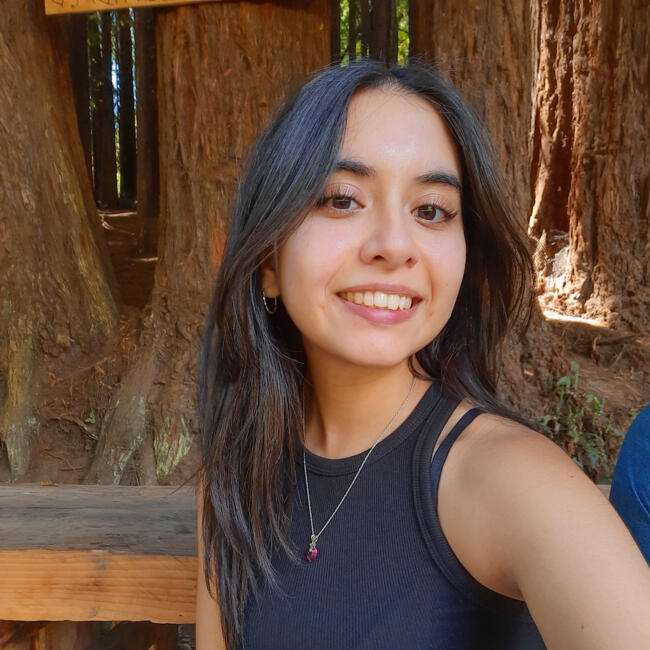 Niñera en Rancagua: Javiera Valenzuela