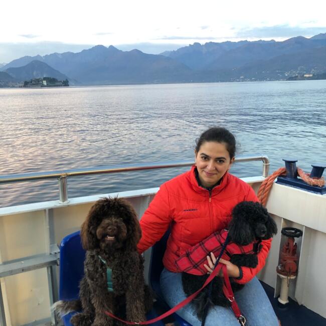 Babysitter in Vedano Olona: Susanna