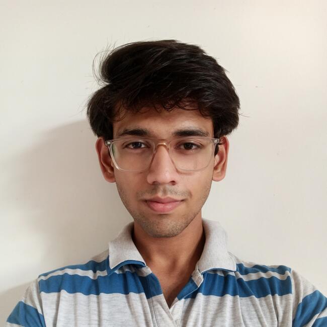 Babysitter in Gandhinagar: Manav