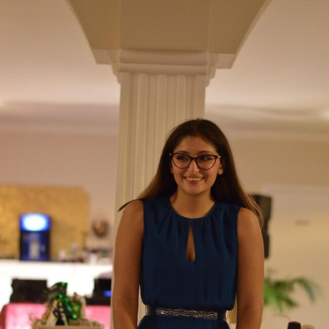 Babysitter in Swords: Sara