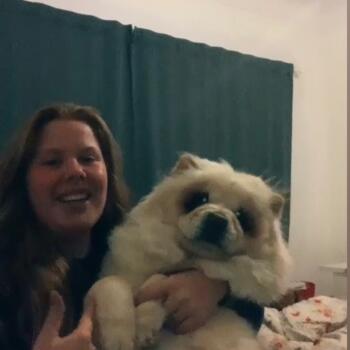 Babysitter in Antwerpen: Kato