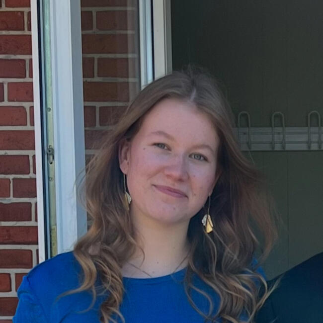 Babysitter i Viby (Region Midtjylland): Liva