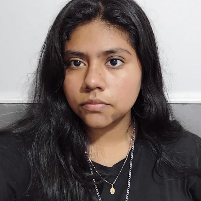 Niñera en Xalapa: Abril Posadas