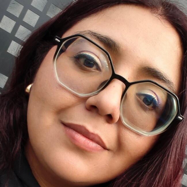 Babysitter in Aguascalientes: ERIKA Sánchez