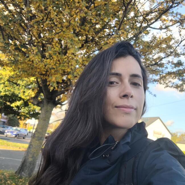 Nanny in Dublin: Andressa