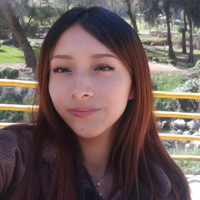 Babysitter in Comas (Departamento de Lima): Lucia