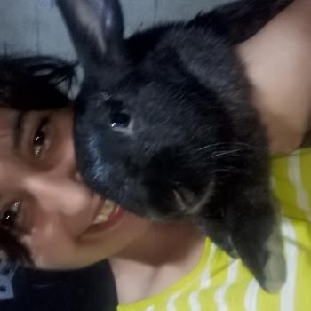 Niñeras en Ciudad de Corrientes: Sabina