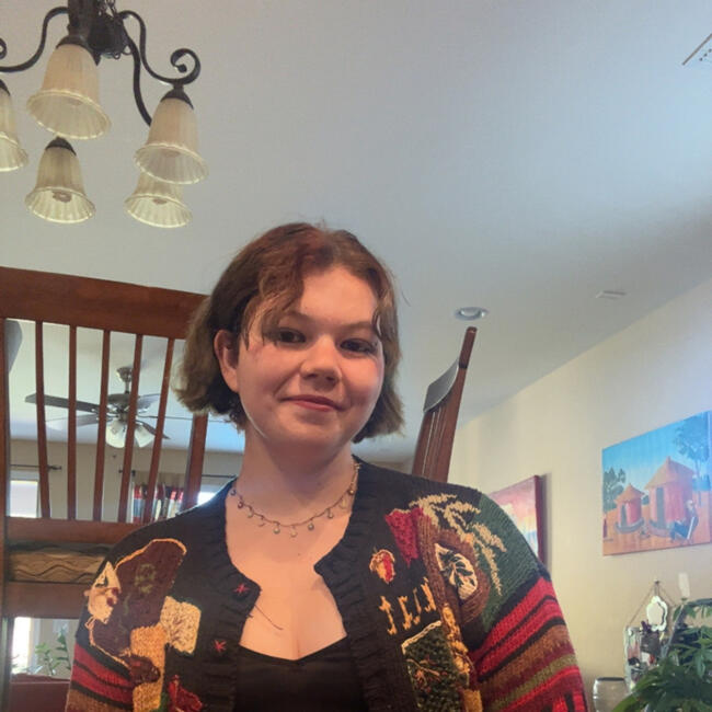 Babysitter in Chandler: Izaan