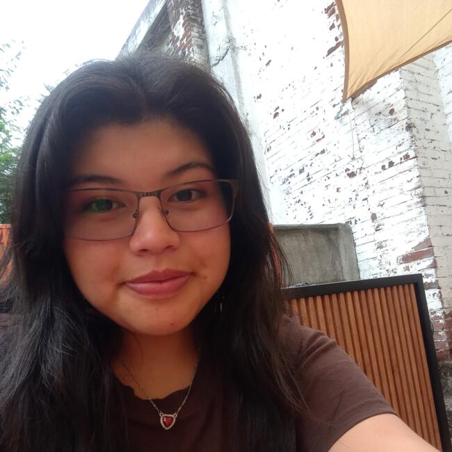 Babysitter in Temuco: Nayaret