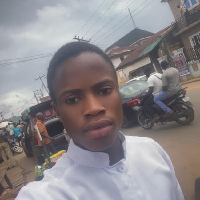 Babysitter in Ondo: Adegboye