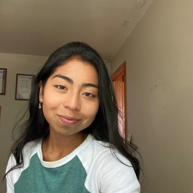 Babysitter in Temuco: Monica