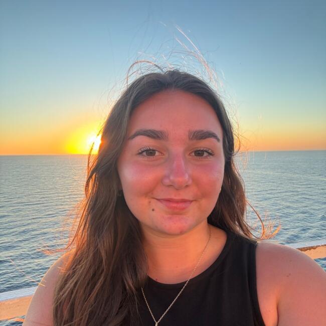 Babysitter in Novy-Chevrières: Romane