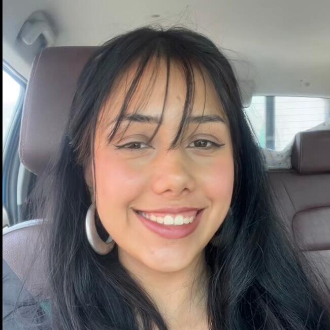 Babysitter in Castletroy: Alejandra