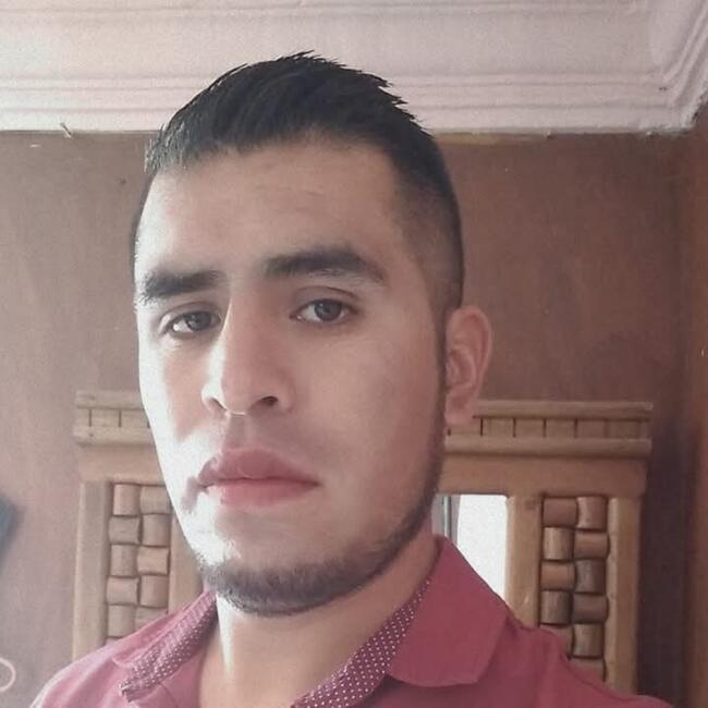 Trabajo para niñera en Gaira: Javier