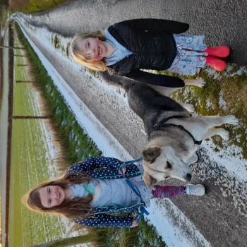 Babysitting Jobs in Tullamore: babysitting job Maeve