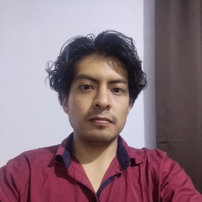 Babysitting job in Comas (Departamento de Lima): Carlos