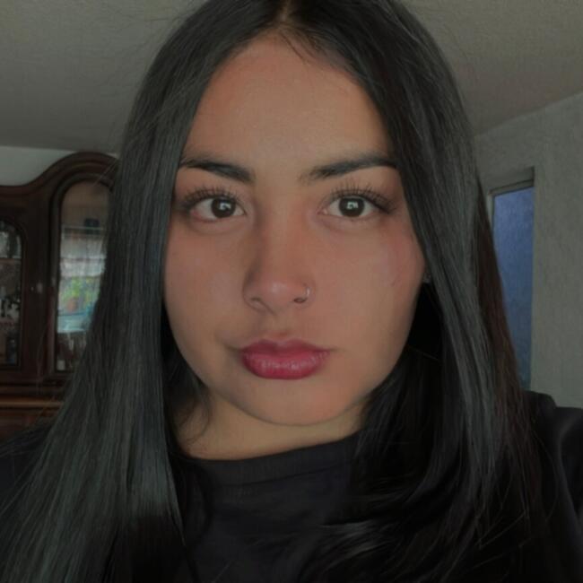 Babysitter in Ignacio Allende (Estado de México): Gabriela