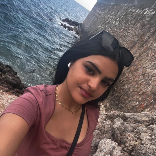 Babysitter in Le Chesnay: Nerimene