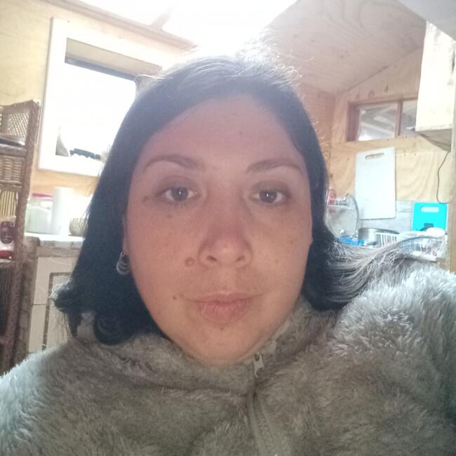 Babysitter in Port Montt: Javiera Esperanza Silva silva