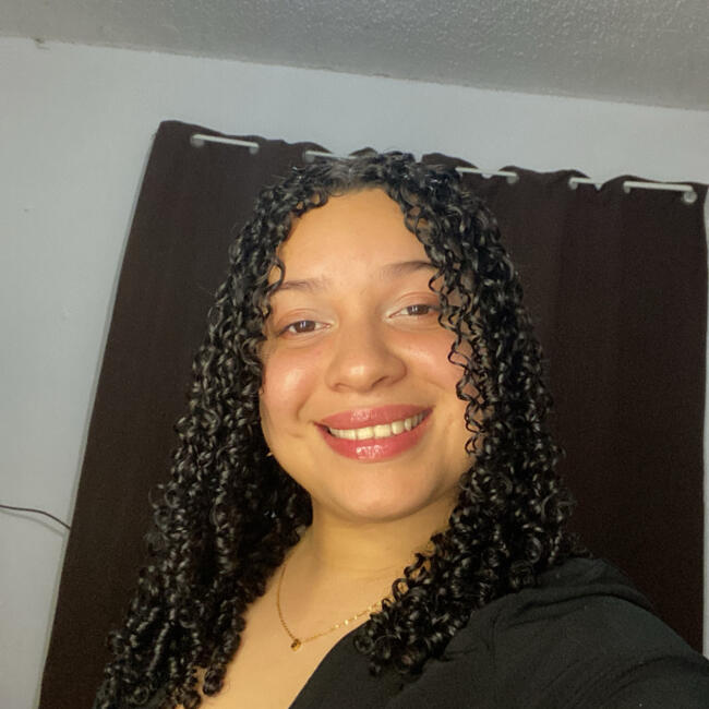 Babysitter in Toa Baja: Luisette Rivera Rios