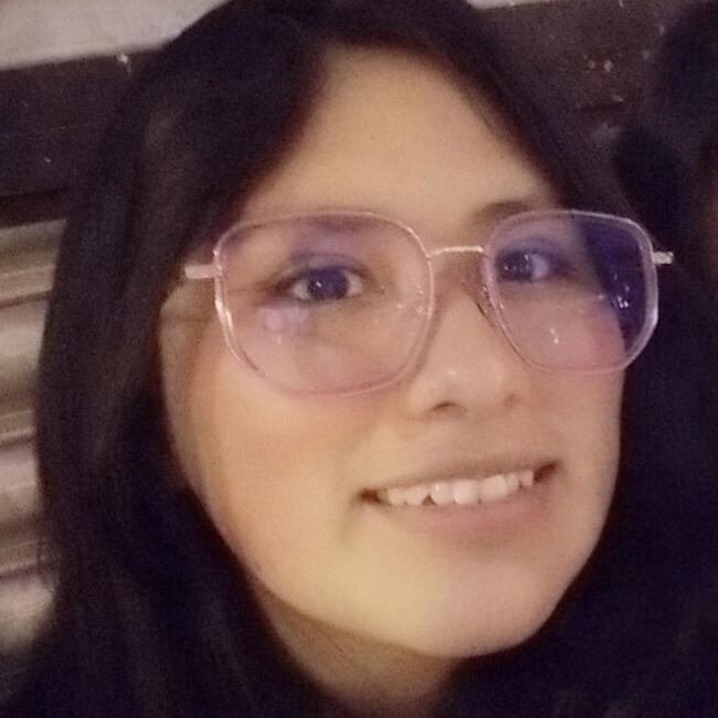 Babysitter in El Alto: Diana Abigail