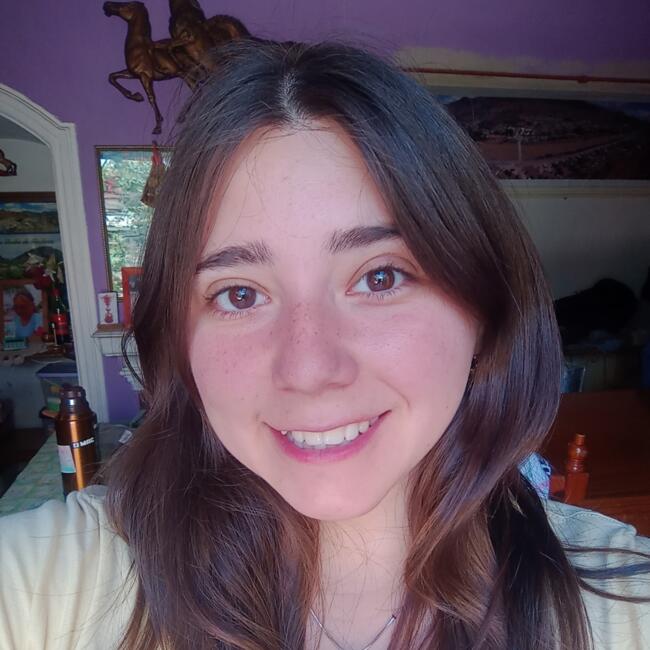 Babysitter in San Nicolás de los Arroyos: Brenda