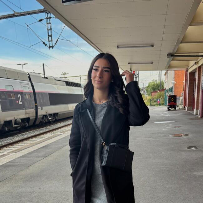 Babysitter in Aulnoye-Aymeries: Ines