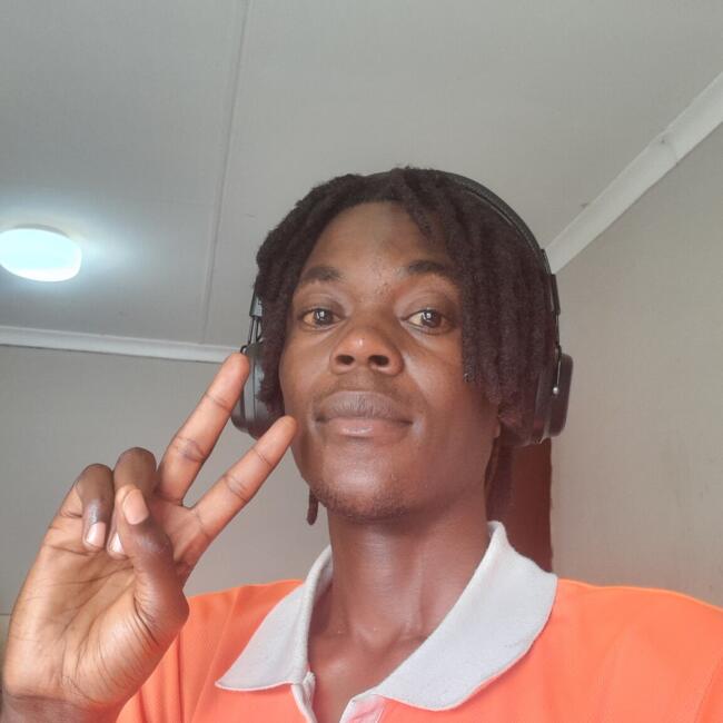 Babysitter in Roodepoort: Tashinga Blessing