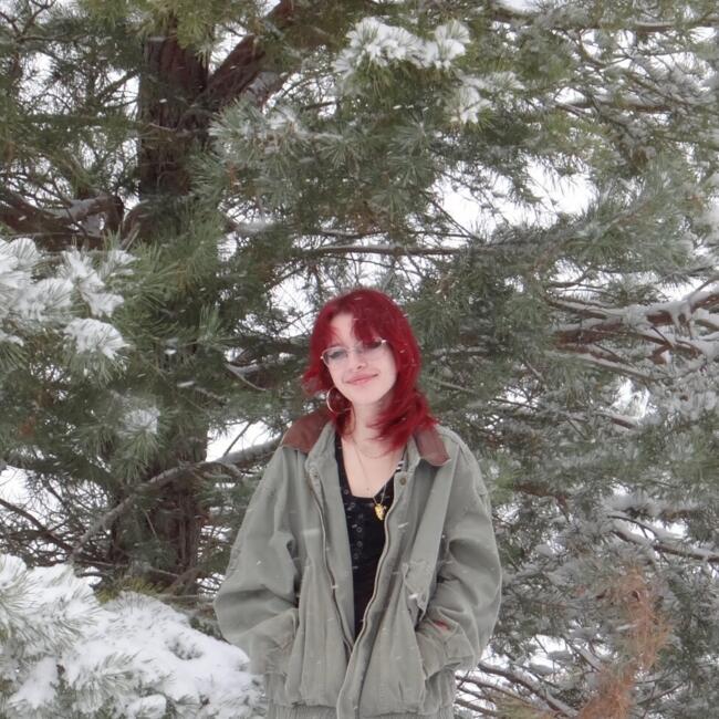 Babysitter in Dundee (Michigan): Gretchen