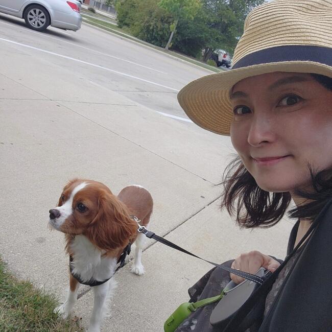 Babysitter in Gangseo-gu: Sunny