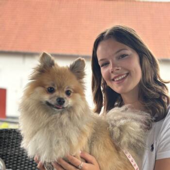 Babysitter Ledegem: Iluna
