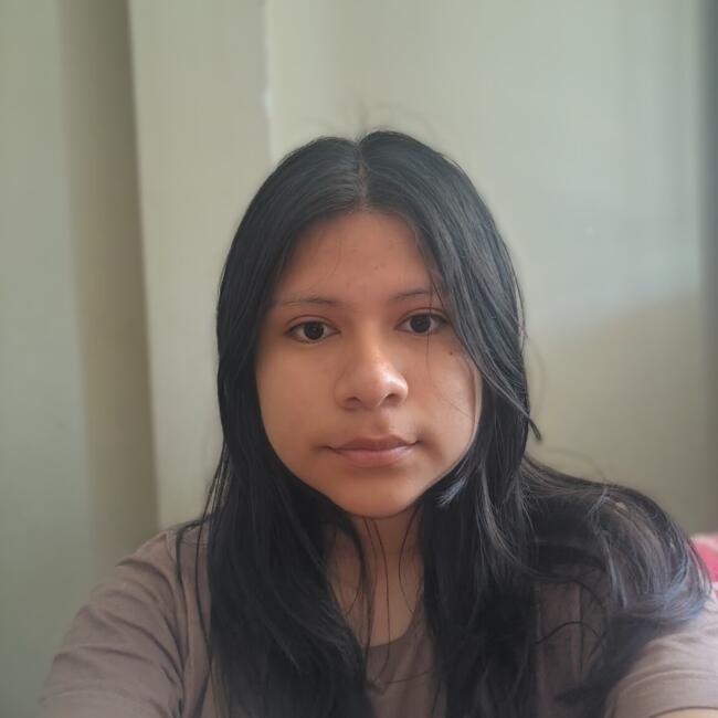Babysitter in Sunampe (Provincia de Chincha): Xiomara