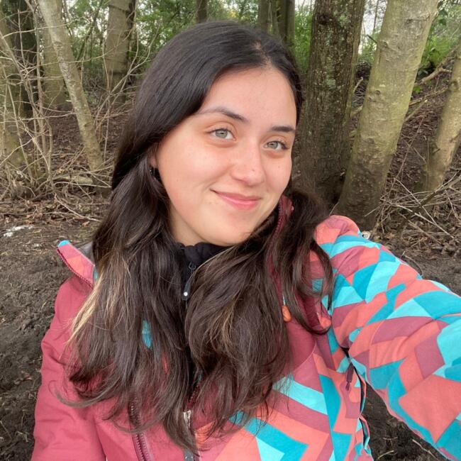 Babysitter in San Pedro de la Paz: Javiera