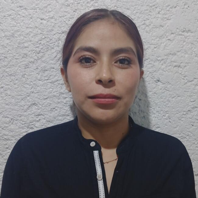 Niñera en Naucalpan de Juárez: Elizabeth