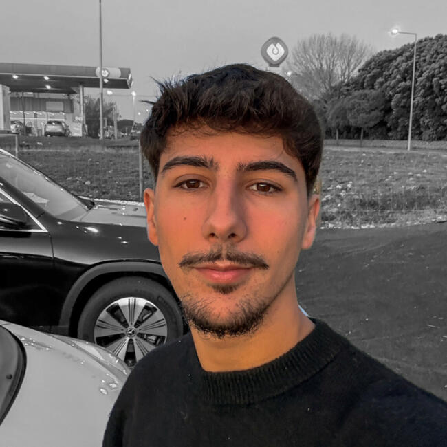 Babysitter in Vila do Conde: Pedro