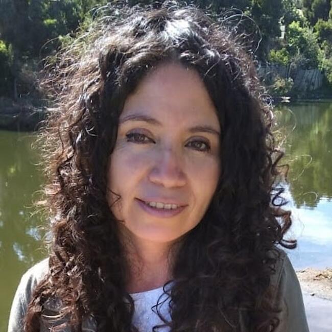 Babysitter in Limache: Marcela Viviana