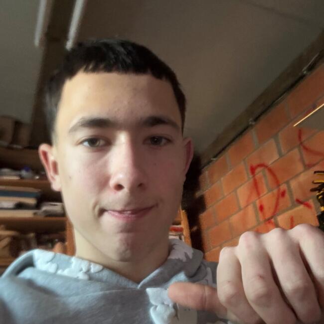 Babysitter in Hulshout: Jitse