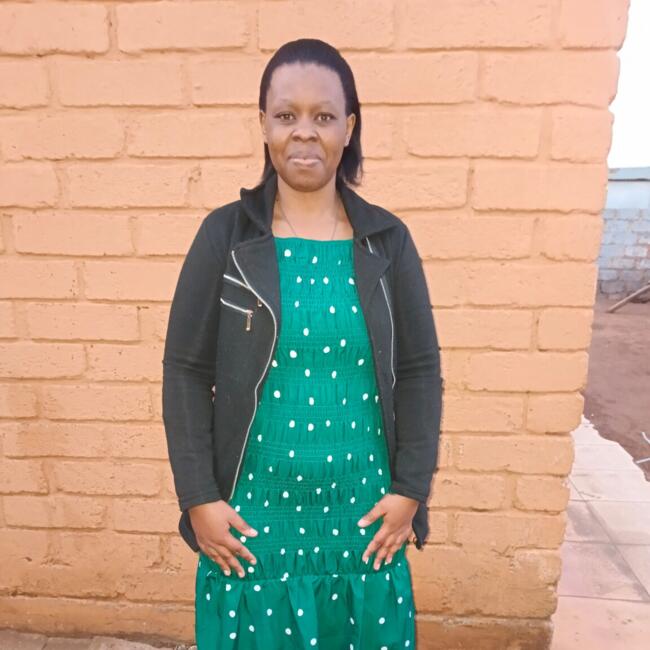 Babysitter in Alberton: Alsidu