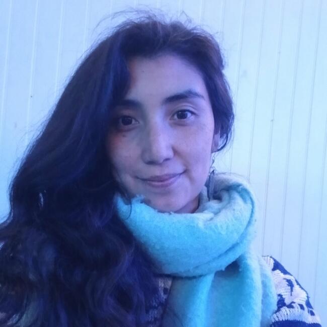 Babysitter in Temuco: Irma