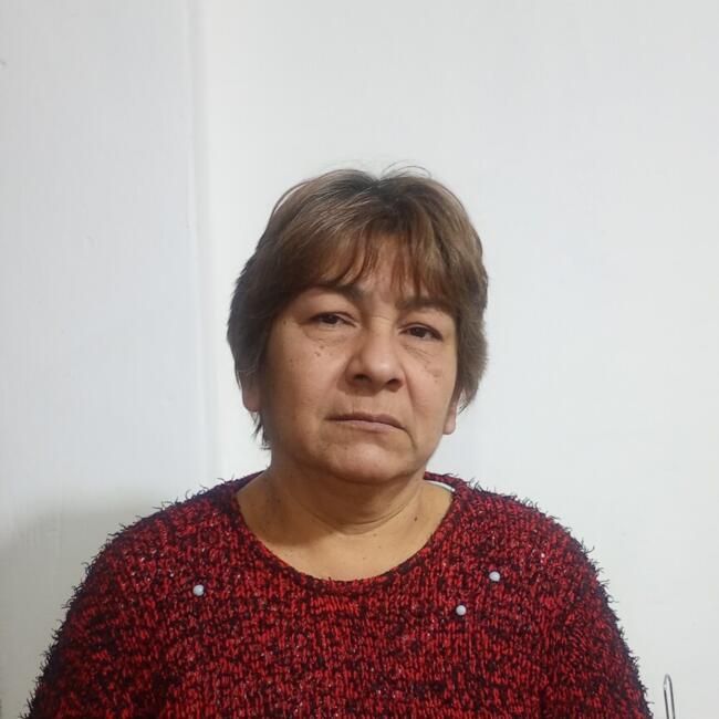 Babysitter in Berazategui: Carmen