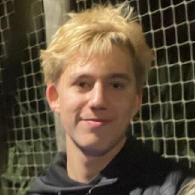 Babysitter in Bry-sur-Marne: Robin