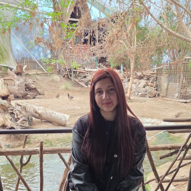 Niñera en Maipú: Debora arancibia