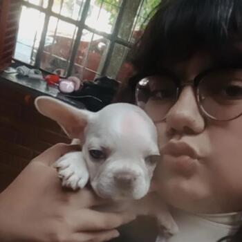 Babysitter in Ciudad Evita: Ariela