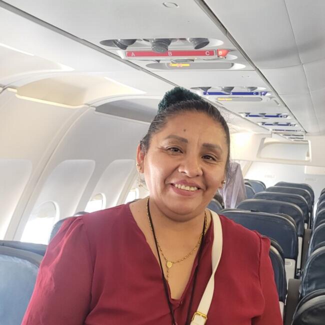 Niñera en Arequipa: Roxana