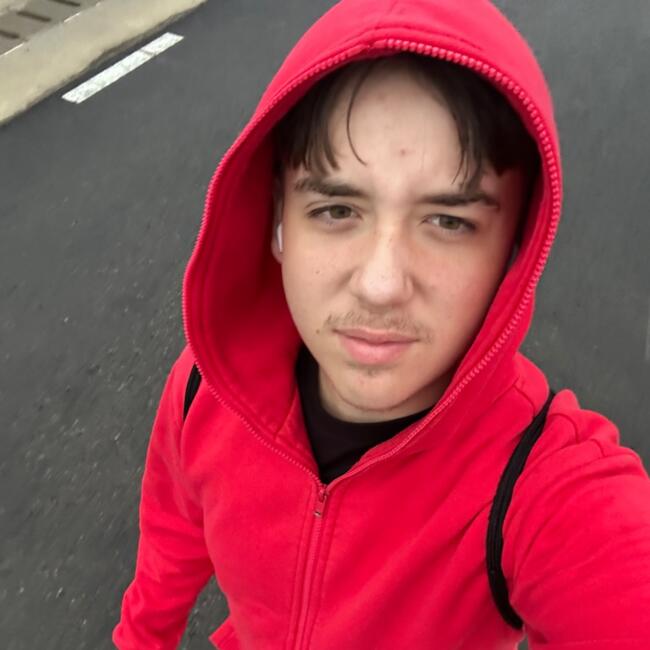 Babysitter a Torino: Nicolas