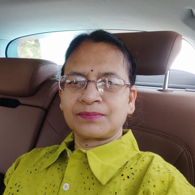 दिल्ली में बेबीसिटर: Bula