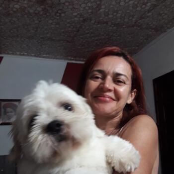 Babá em Diadema: Valdenora